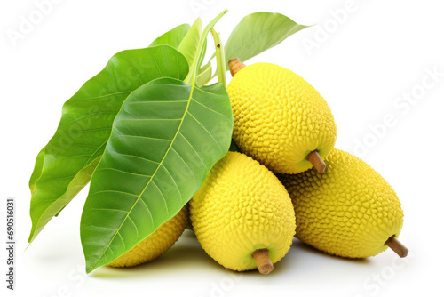 Jackfruit with leaves on white background