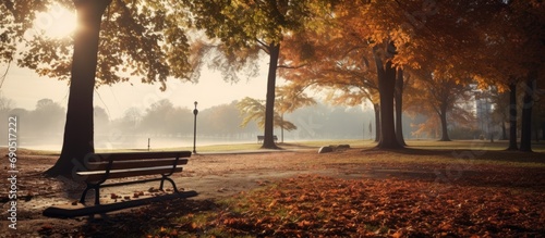 Fall season at the park.