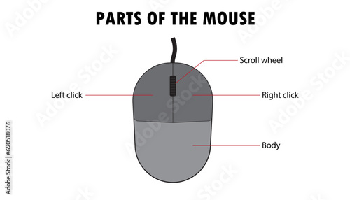 Parts of the mouse, pointing device