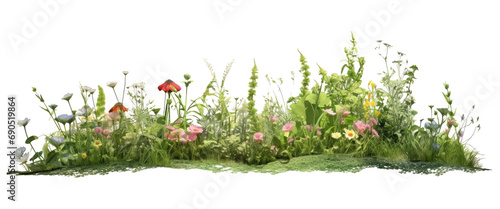 beautiful piece of green meadow flowers isolated on transparent background