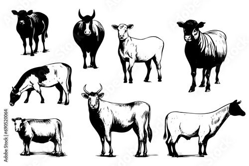Sketch set of farm animals  vector for your design