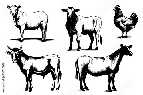 Sketch set of farm animals, vector for your design