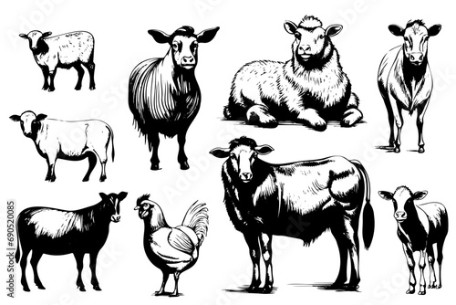 Farm animals collection illustration drawing style, sketch