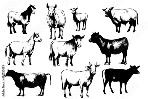 Fototapeta Naklejka Na Ścianę i Meble -  Farm animals collection illustration drawing style, sketch