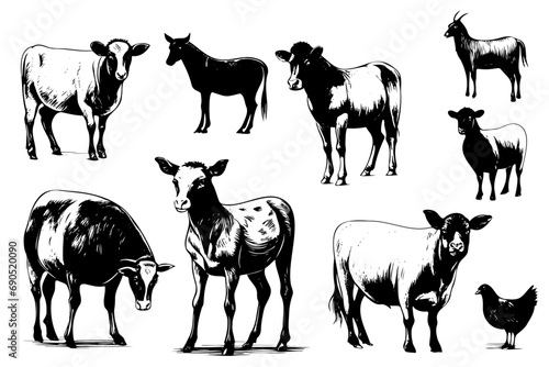 Farm animals collection illustration drawing style  sketch