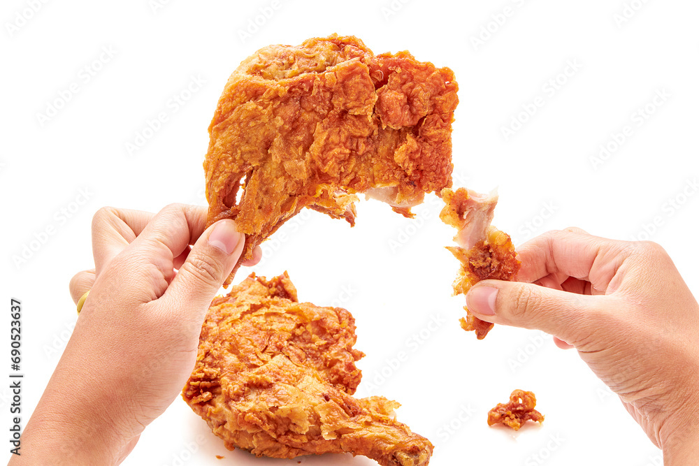 Hand holding and tearing apart fried chicken thigh (chicken coated with seasoned flour or batter and deep fried) and there was another piece of chicken isolated on a white background. eating chicken. - obrazy, fototapety, plakaty 