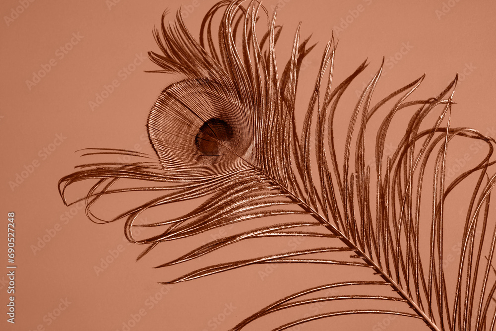 Obraz premium Peacock feather on a solid background. Flat lay, place for text. Peach fuzz is color of year 2024.