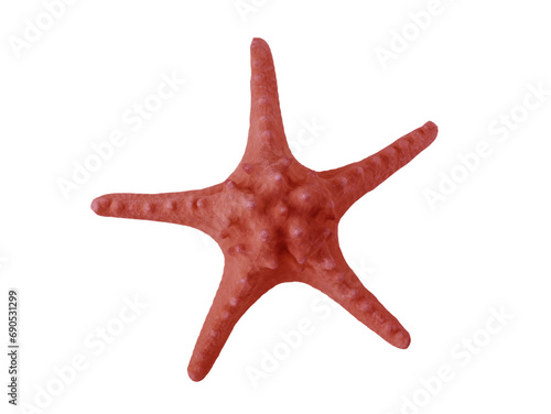 big starfish isolated on white background