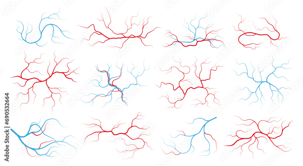 Veins and arteries. Human vascular system and blood vessels, red capillary vessels with stream of blood, healthy cardiovascular system. Vector set of anatomy artery vascular illustration - obrazy, fototapety, plakaty 