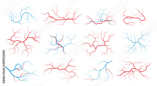 Veins and arteries. Human vascular system and blood vessels, red capillary vessels with stream of blood, healthy cardiovascular system. Vector set of anatomy artery vascular illustration photo