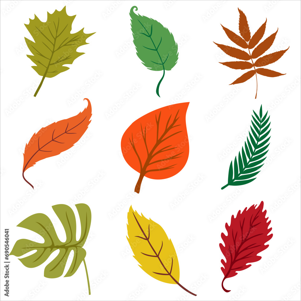 Obraz premium Forest leaves. Autumn season. Vector illustration.