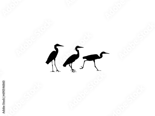 black crowned crane. heron silhouettes. heron and pelican flying and staying silhouette collection. set of sandhill crane silhouette isolated white background.