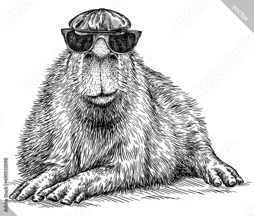 Vintage engraving isolated capybara glasses dressed fashion set illustration rodent ink sketch. Gnawer background silhouette sunglasses hipster hat art. Black and white hand drawn vector image