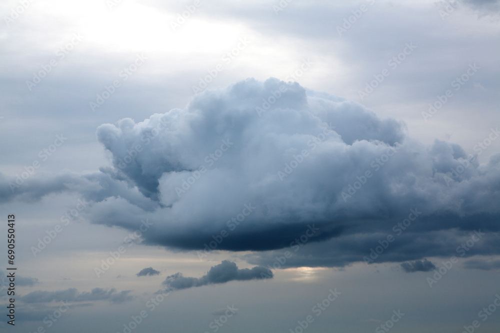 a fish-shaped cloud