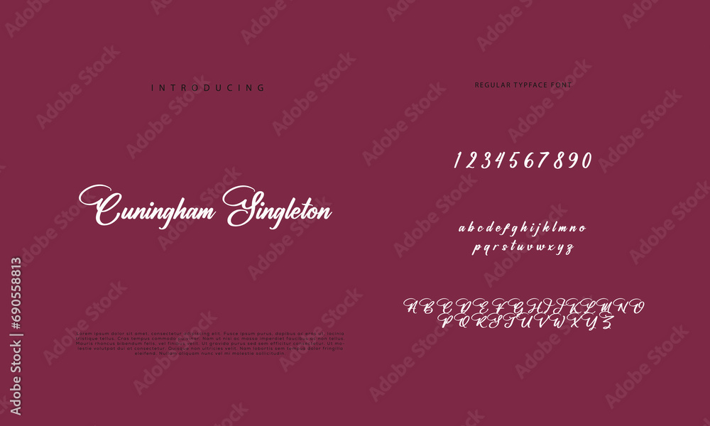 signature Font Calligraphy Logotype Script Brush Font Type Font lettering handwritten
