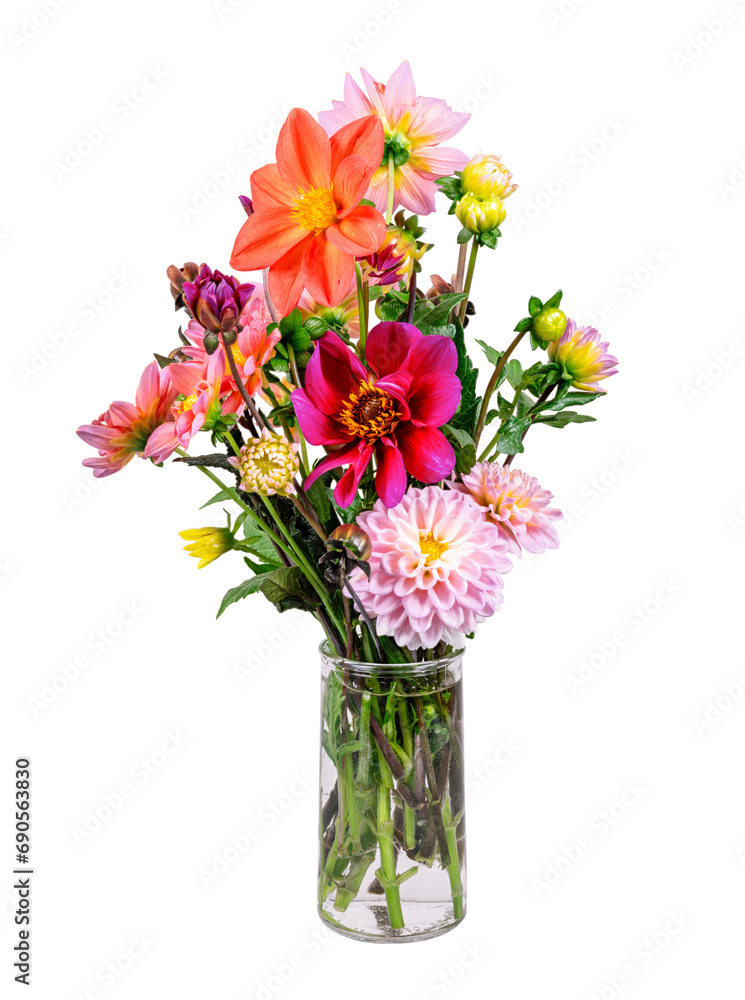 Isolated dahlia flower arrangement in a glass vase Isolated dahlia flower arrangement in a glass vase