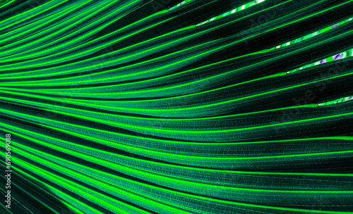 green and turquiose colorful abstract futuristic background with bright lines and rows for design and concetp , natural leaf texture in various colors