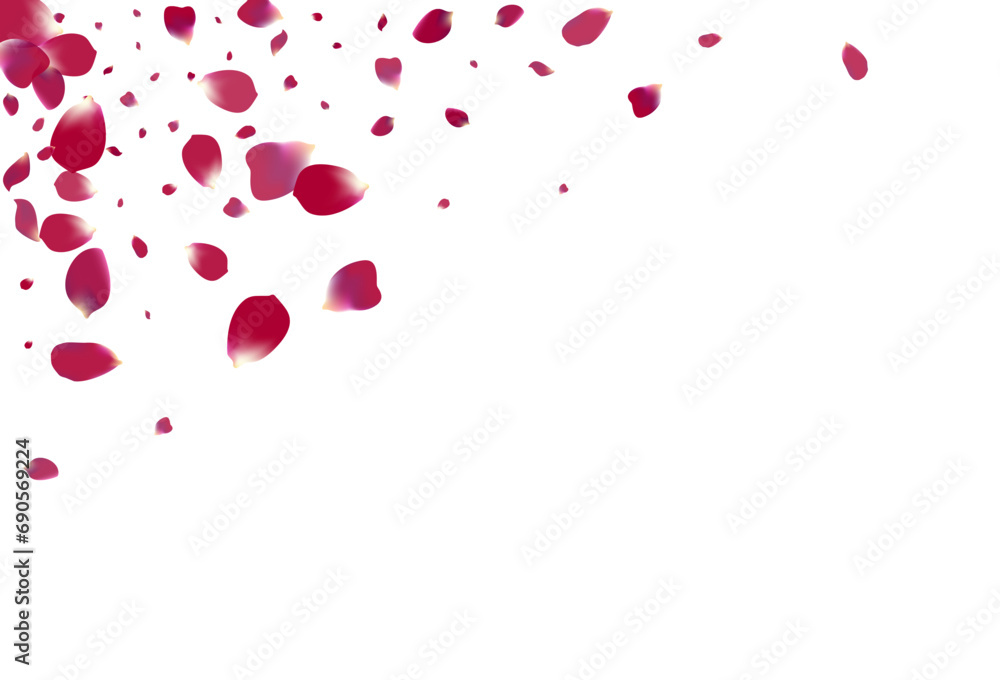 Delicate Cherry Japan Vector White Background. Delicate Cherry Japan Vector White Background.