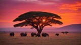 A Majestic Herd of Elephants Under the Serene Sunset