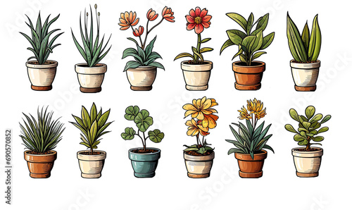 Assorted Potted Houseplants