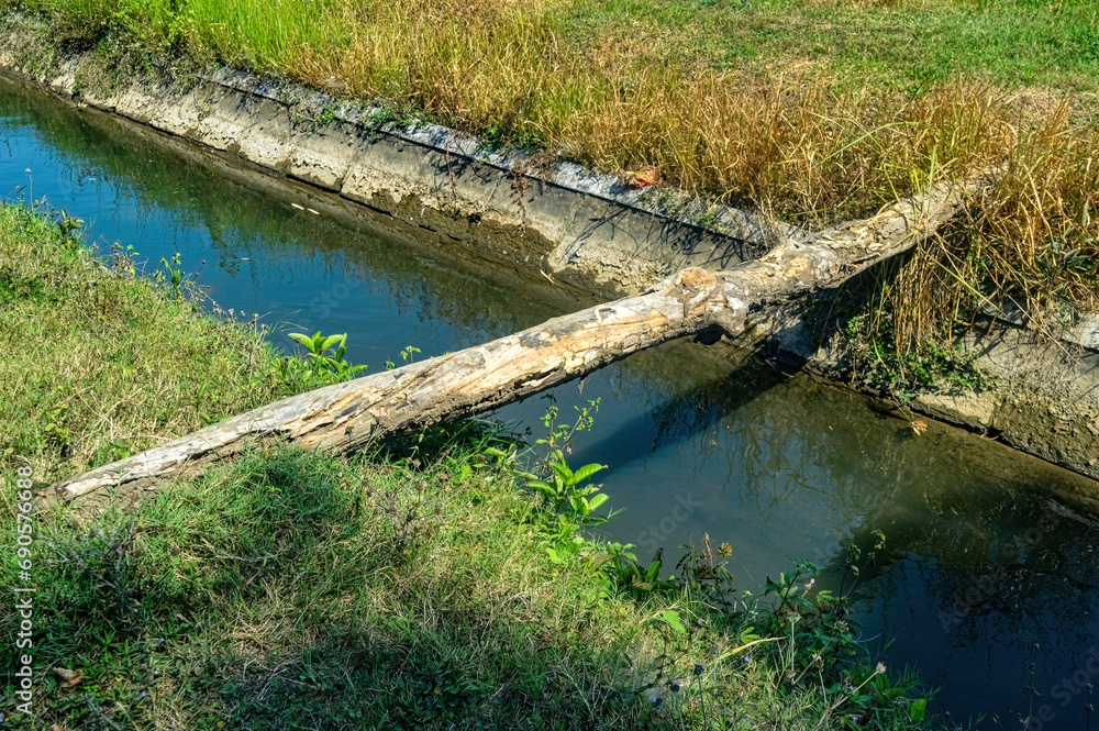 a piece of wood across a small irrigation river that can be used as a bridge in a village a piece of wood across a small irrigation river that can be used as a bridge in a village