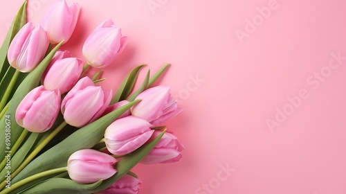 Bouquet of pink and white tulips on a pink background. Flat lay  copy space