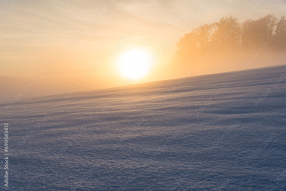 Snowy and beautiful winter landscape in Wolfegg in Upper Swabia