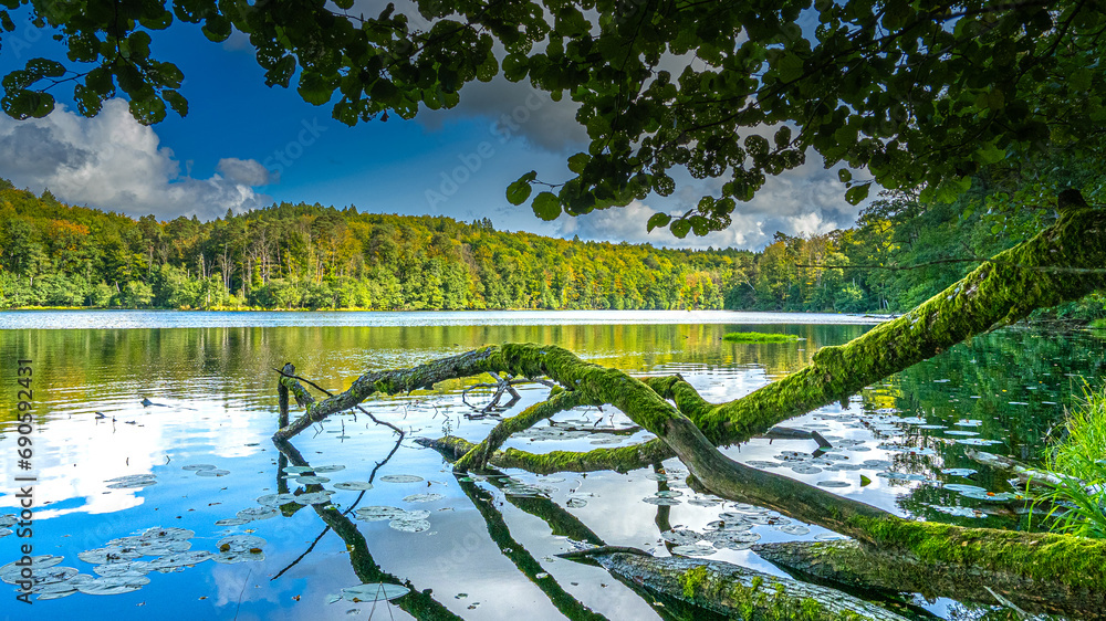 Fototapeta premium Kaszubskie jeziora