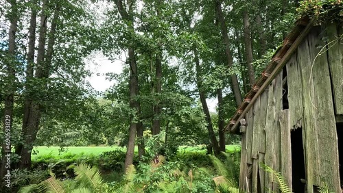 Abandoned wooden shack 