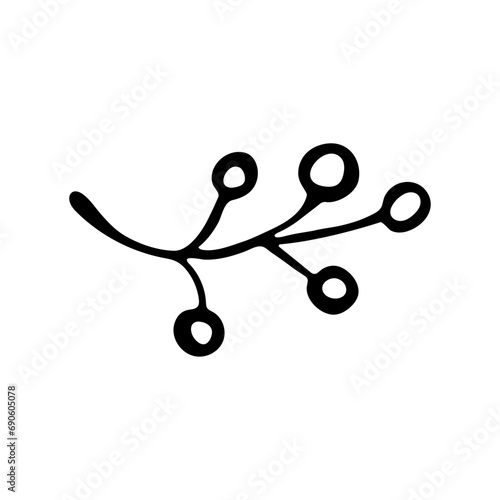 A plant, a tree branch with berries
