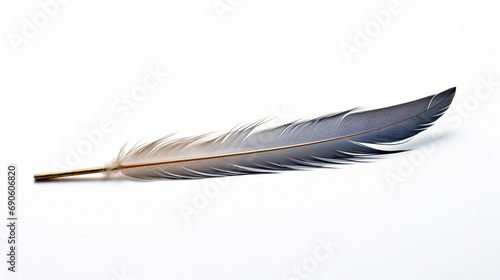 Feather Quill on White Background --ar 16:9 --v 5.2 Job ID: 6e5933f1-c8c0-4913-af3c-f517e198e05e photo