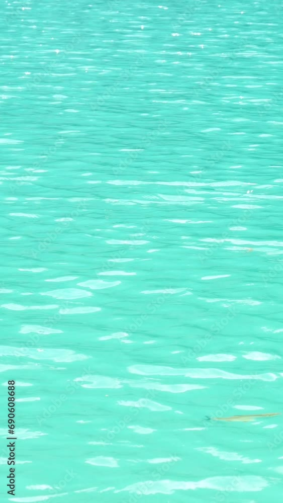Fish Swimming in a Turquoise Lake in Beautiful Plitvice Lakes National Park in Summer Fish Swimming in a Turquoise Lake in Beautiful Plitvice Lakes National Park in Summer