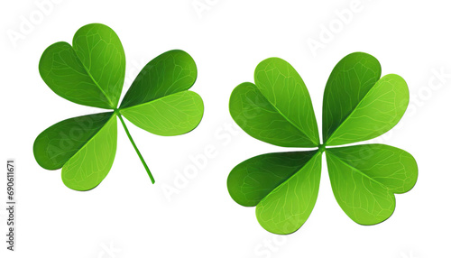 four leaf clover isolated on transparent background cutout