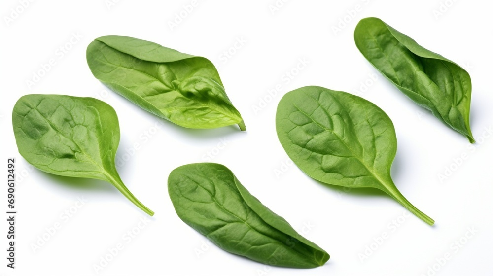 Fototapeta premium Spinach leaves isolated on white backdrop with clipping path, close-up, collection.