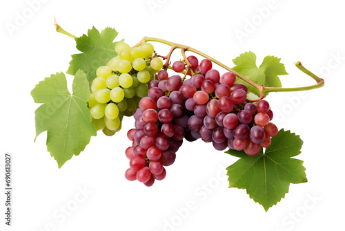 Assortment of red and green grape bunches isolated on a transparent background