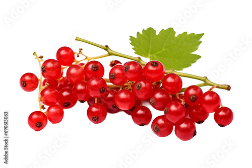 Array of scarlet and verdant grapes isolated on a transparent background