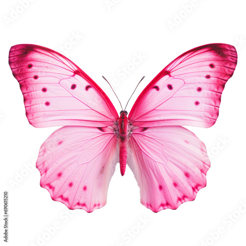 Pink butterfly on transparent background