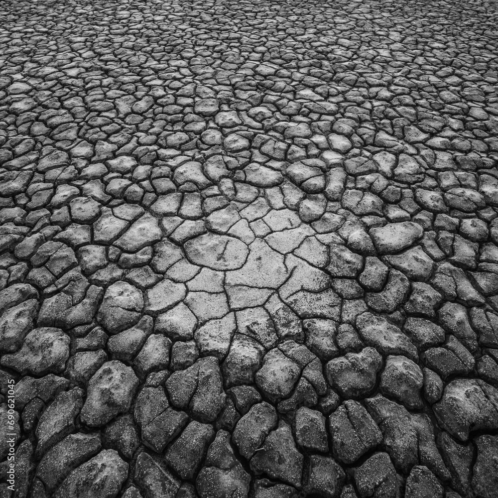 Broken dry soil in a Pampas lagoon, La Pampa province, Patagonia, Argentina. Broken dry soil in a Pampas lagoon, La Pampa province, Patagonia, Argentina.