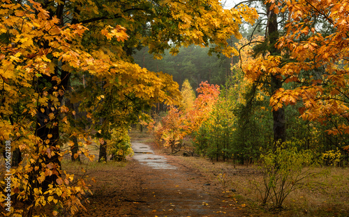 Old park. The trees are painted in autumn colors. Beauty of nature. Hiking. Walks in the open air.