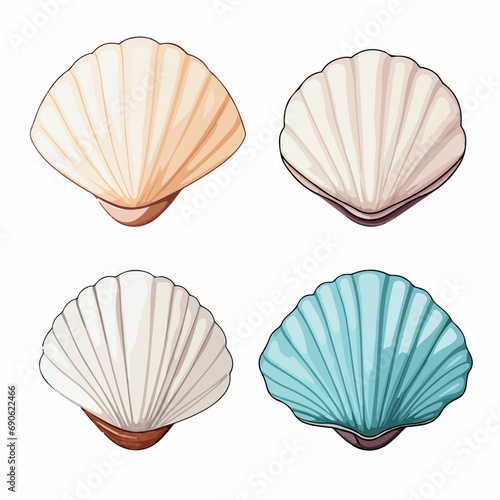 Sea shells set of 4 flat vector illustration. Sea shells set of 4 hand drawing isolated vector illustration