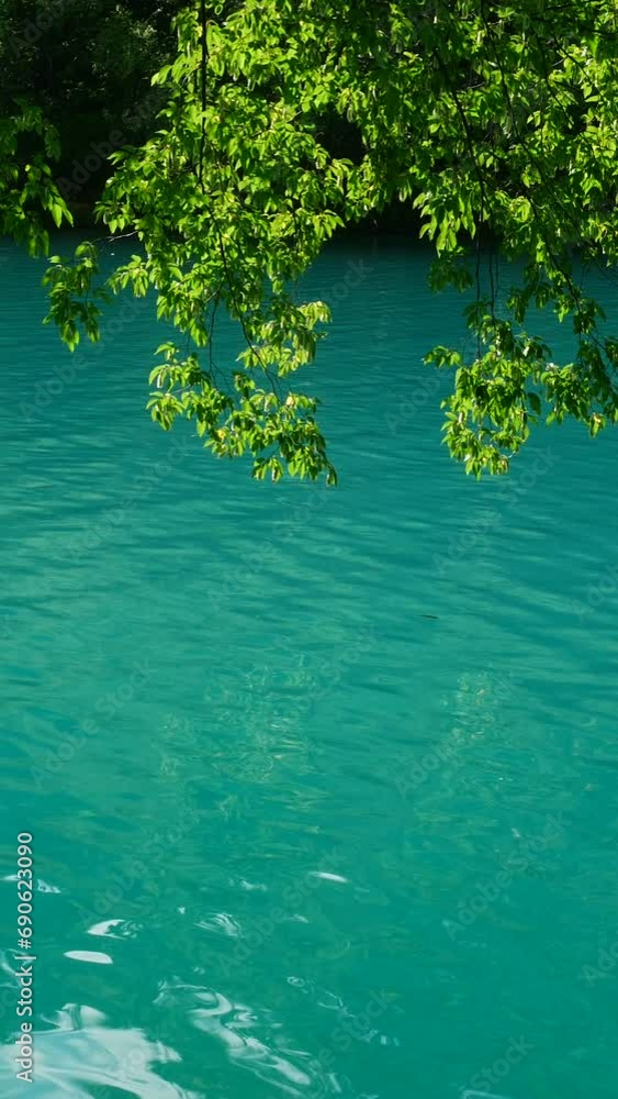 Green Foliage and Turquoise Lake in Beautiful Plitvice Lakes National Park in Summer Green Foliage and Turquoise Lake in Beautiful Plitvice Lakes National Park in Summer