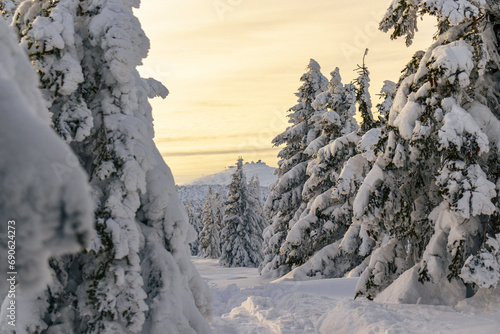 Fototapeta Naklejka Na Ścianę i Meble -  Magiczny Zimowy Krajobraz: Śnieżka w Karkonoszach