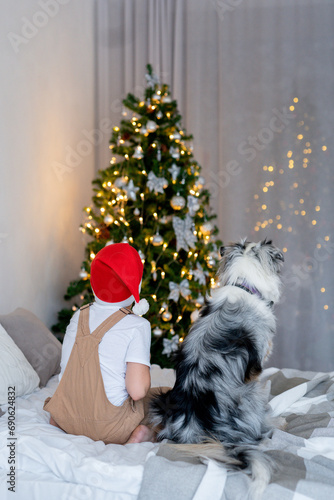 A boy and a dog in red Santa hat having fun on bed. Best friends.