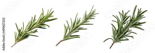 Set of fragrant pieces of rosemary, cut out - stock png. photo