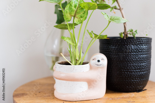 plant in a pot cute sloth