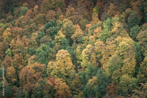 Herbstwald auf der Schwäbischen Alb