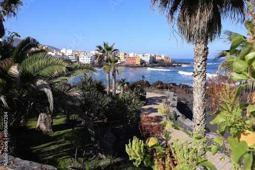 View from the Parque de Jardin to Punta Brava near Puerto de la Cruz