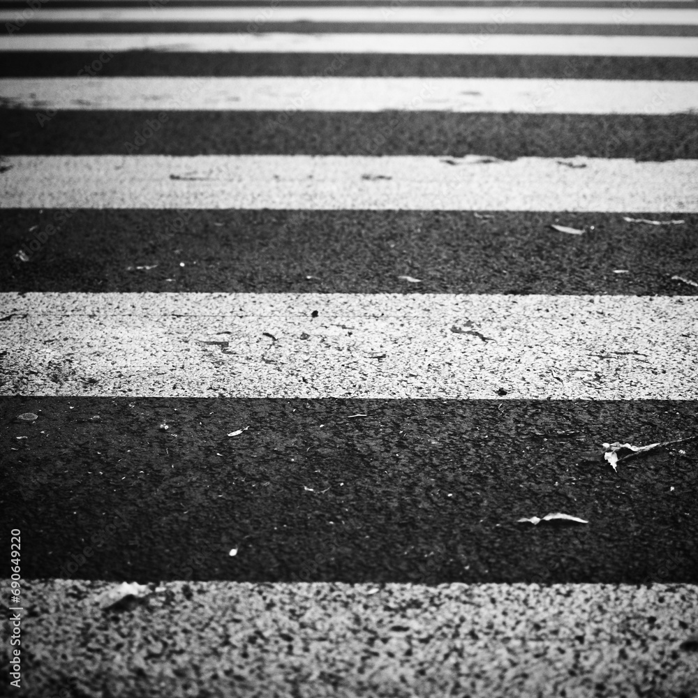 Fototapeta premium crosswalk with asphalt road texture
