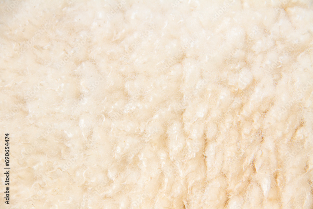 White sheep wool background, Background pattern of soft warm material White sheep wool background, Background pattern of soft warm material
