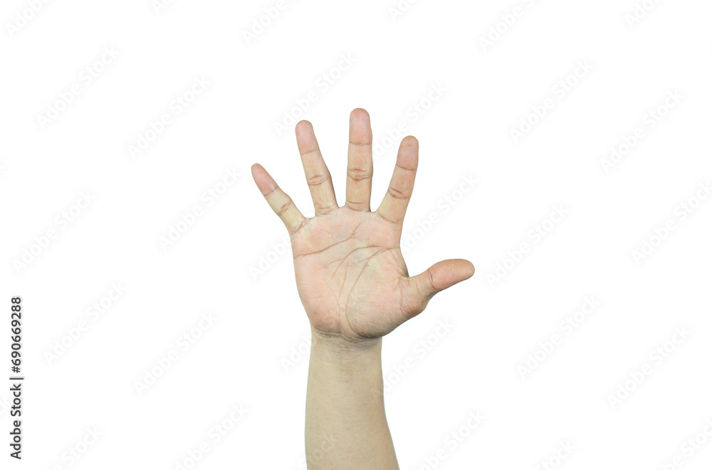 hand raise up isolated on white background hand raise up isolated on white background